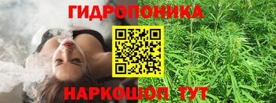 Альфа ПВП Пенза